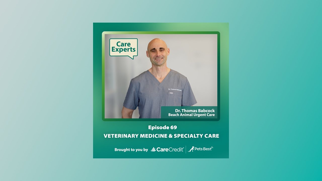 Veterinary Medicine & Specialty Care with Dr. Babcock Care Experts by