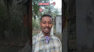 spoken English basic vocabularies in Tamil and English#howtoimprovespokenenglishintamil