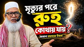 মৃত্যুর ফেরেশতা একজন নাকি একটি দল? | দিন-রাত্রির পরিবর্তন ও রুহের অজানা রহস্য | মাওলানা মোজাম্মেল হক