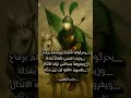 يحرگوها الخيام وروسكم برماح الشاعر حسن الزهيري السيدة زينب الكبرى يااباالفضل