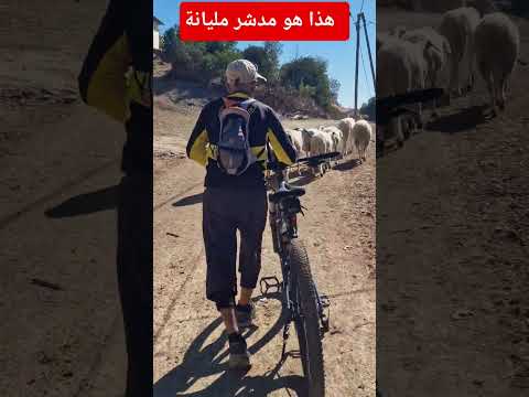 مدشر مليانة قيادة تطفت القصر الكبير