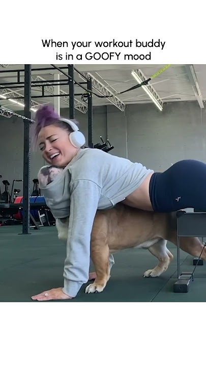 Funniest Pets as Gym Memes!