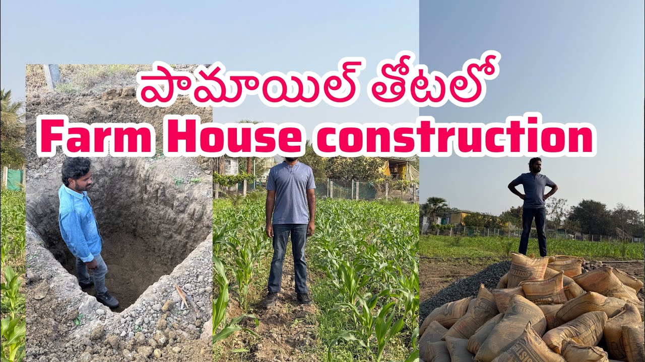 పామాయిల్ తోటలో ll Farm House ll బిల్డింగ్ కన్స్ట్రక్షన్ ll dream house ll ఇది నా కల నిజం అవుతుందిll 