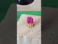 Use a wooden match to even out the hollow wood #shorts