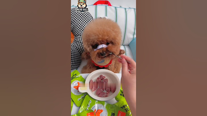 Elza love to eat chiken 🍗 #dog #pets #anmals #puppy #puppyfood #shorts