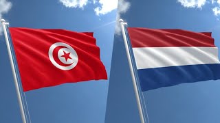 هولندا ترفع منع السفر إلى تونس