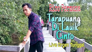 Tarapuang Di Lauik Cinto  cover Rico Permana