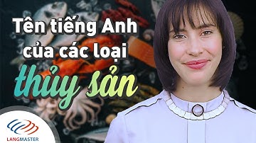 Langmaster - Tên tiếng Anh của các loại THỦY SẢN [Học tiếng Anh giao tiếp cho người mới bắt đầu]