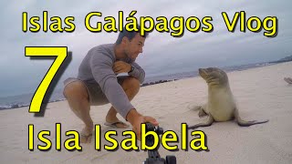 Islas Galápagos Vlog 7 -  Isla Isabela,  Punta Vicente Roca