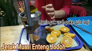 Alat Pemeras / Peresan Jeruk (Hand Juicer) Kabuto