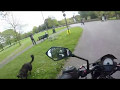 Close Encounter With Man&#39;s Best Friend