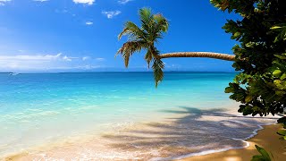 Island Relaxation: Tropical Beach Ambience & Ocean Sounds For Deep Sleep (4K Video)