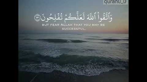 القارئ ماجد الزامل/سورة آل عمران/♥♥