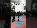 Hammer Kick #selfdefence #selfdefense #martialarts #bredanfou #taekwondo #karate #shortsvideo #short Mp3 Song