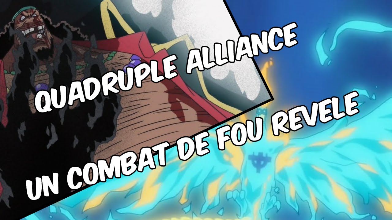 One Piece Review Scan 820 - QUADRUPLE ALLIANCE ? LE COMBAT D'IL Y A 1