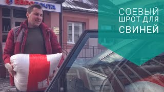 Ура!Долгожданная посылка. Соевый шрот.Рецепт для молодняка свиней.