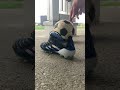 Adidas Football Boots Predator ELITE FT AG