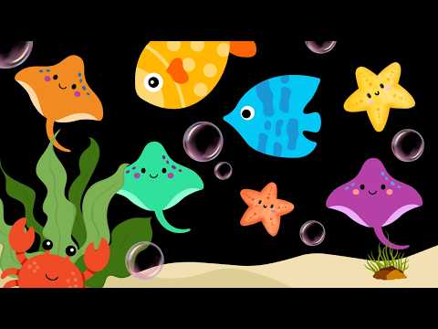 Baby Sensory Video - High contrast - Sensory Videos for Babies - Visual Stimulation for Newborn