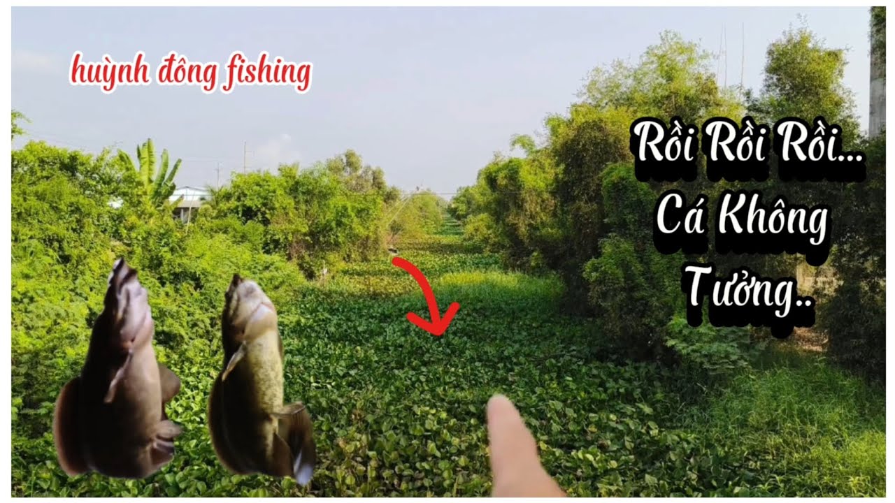 Chia sẻ điểm câu/kênh kín cá không tưởng.. giật tê tay cháy nách luôn phê quá trời..