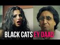 Black cats  ey daad      