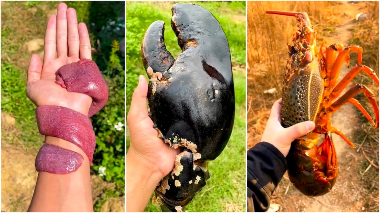 1 đồng mua được gì ? 