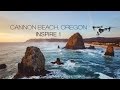 Cannon Beach Aerial Drone