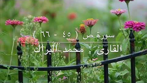 سورة ص ( ٤٥ - ٦٦ ) القارئ : محمد البراك