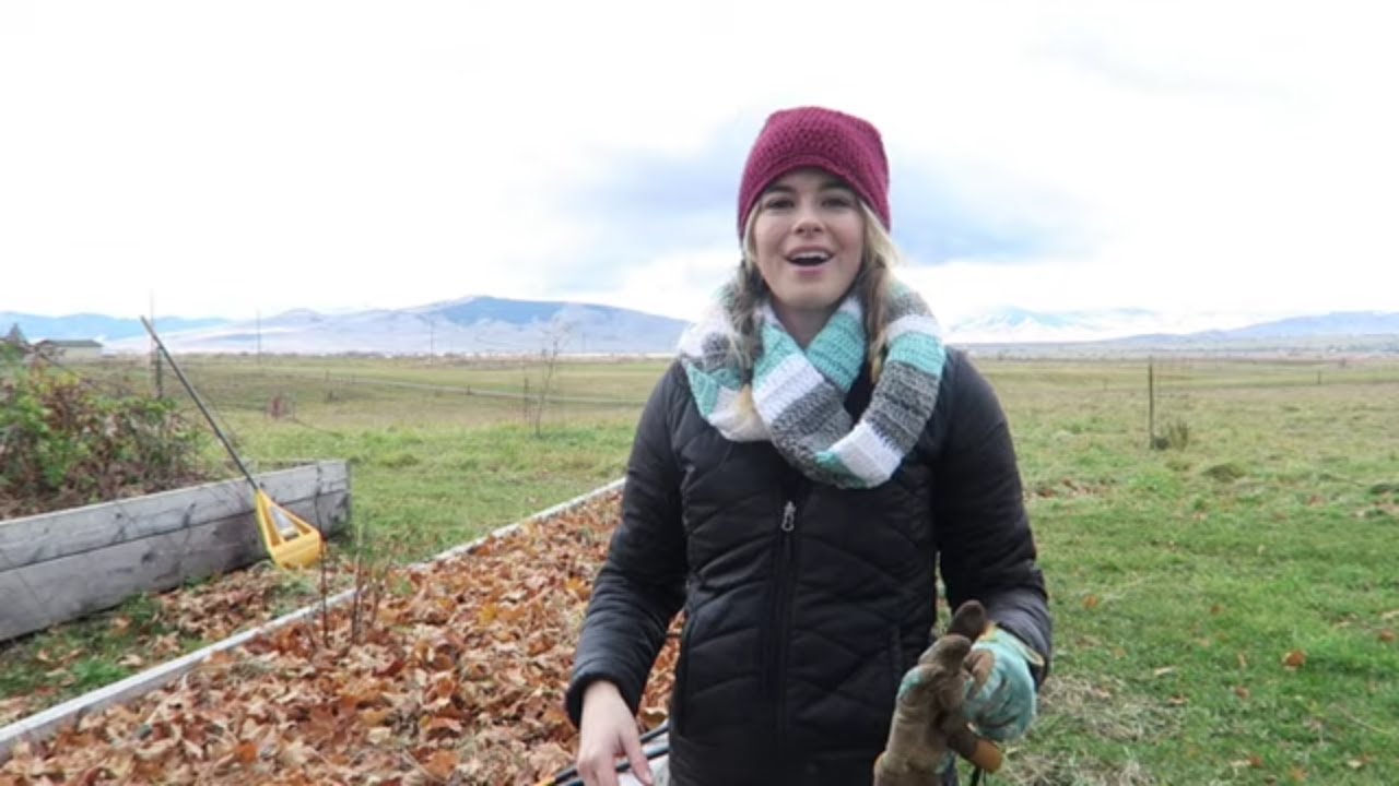 How To Prep Raised Garden Beds For Winter On My Homestead Gubba