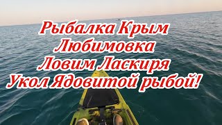 Укол ядовитой рыбой черного моря во время рыбалки на каяке в Крыму!