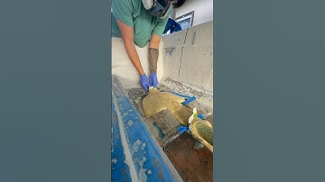 Day 13: Filling the boat with floatation foam 🚤 #boatbuilding #boatrestoration #boat #boatlife