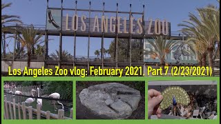 Los Angeles Zoo vlog: February 2021, Part 7 (2/23/2021)