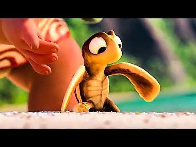 Quand Bebe Tortue Rencontre Bebe Vaiana Animation 17 Youtube