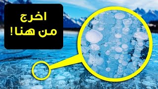 إن رأيت فقاعات في بحيرة، فاعلم أن أمامك لحظات قليلة للهرب!