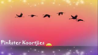 Download Pinkster Koortjies-here Help My Hierdie Keer Video MP3 Pinkster Koortjies-here Help My Hierdie Keer