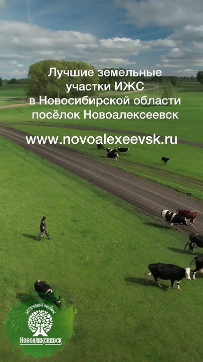 www.novoalexeevsk.ru #новосибирск #земельныйучасток #ижс #нсо #дача # ...