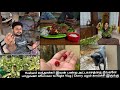 Husband வந்தாச்சு /இவன் பண்ற அட்டகாசத்தை நீங்களே பாருங்க!! Cherry பழம் காய்ச்சி இருக்கு😍 | Night out