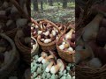 Я АХРЕНЕЛ когда НАШЁЛ ЭТО