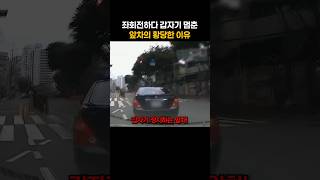 좌회전하다 갑자기 멈춘 앞차의 황당한 이유