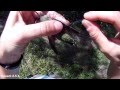 Bird-banding and Mist-netting with Point Blue