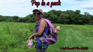 2015 PUPPY IN A BACK PACK BY WALT BARRETT by Walt Barrett 59 views 8 years ago 54 seconds