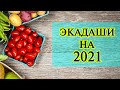 Экадаши на  2021 год  I Как соблюдать экадаши?  I Экадаши что это такое? I Экадаши что делать?