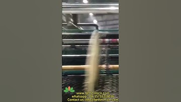 black high quality strong PP Plastic stretch anti bird mole netting-hefei better