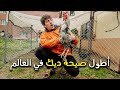 أطول وأغرب صيحة ديك في العالم - World's Longest Rooster Crowing 🐓🔊