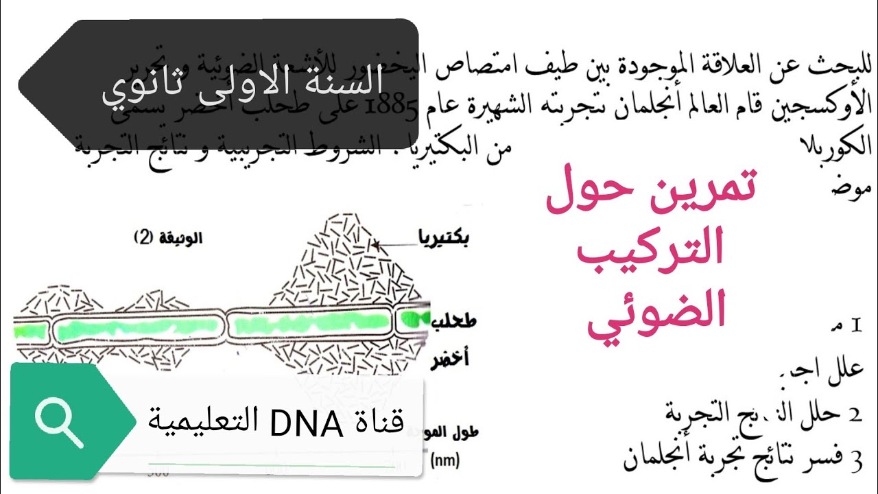 تمرين حول التركيب الضوئي للسنة الاولى ثانوي