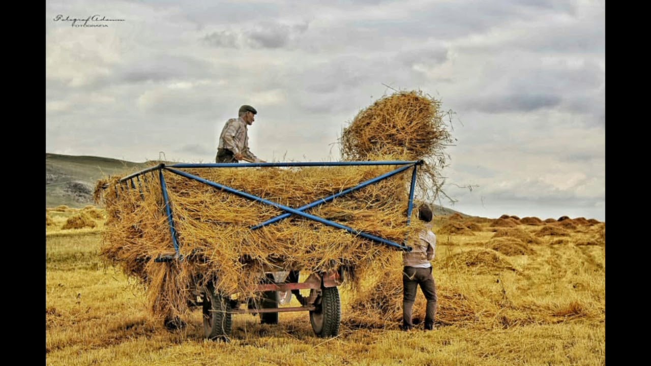 Merkez Maksutcuk Köyü 19.03.2019 Ardahan, Iğdır, Damal Görüntüleri Azeri Müzikler