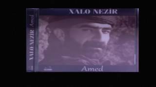 XALO NEZİR AMED 2014 Resimi