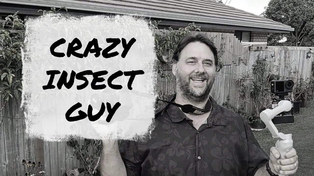 Insect Guy The Emergence - Crazy Insect Guy - YouTube