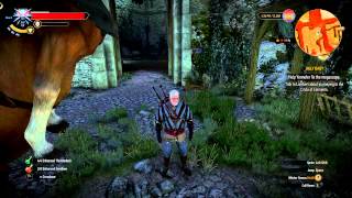Witcher 3 Bug - Roach F'ing the Air