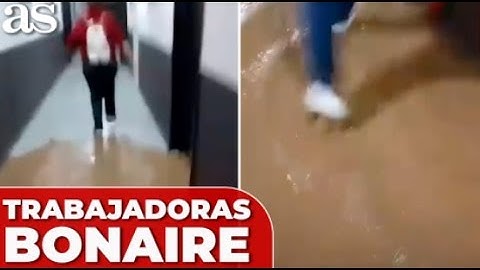 El VÍDEO que REVELA como UNAS TRABAJADORAS SALIERON DE BONAIRE en el último momento: PELOS DE PUNTA