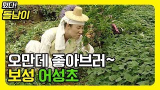 보성에 녹차 말고 어성초 좋다는 소리 들어보셨소? 돌남이 따라 벌교 어성초 구경갑시다요~[떴다!돌남이]